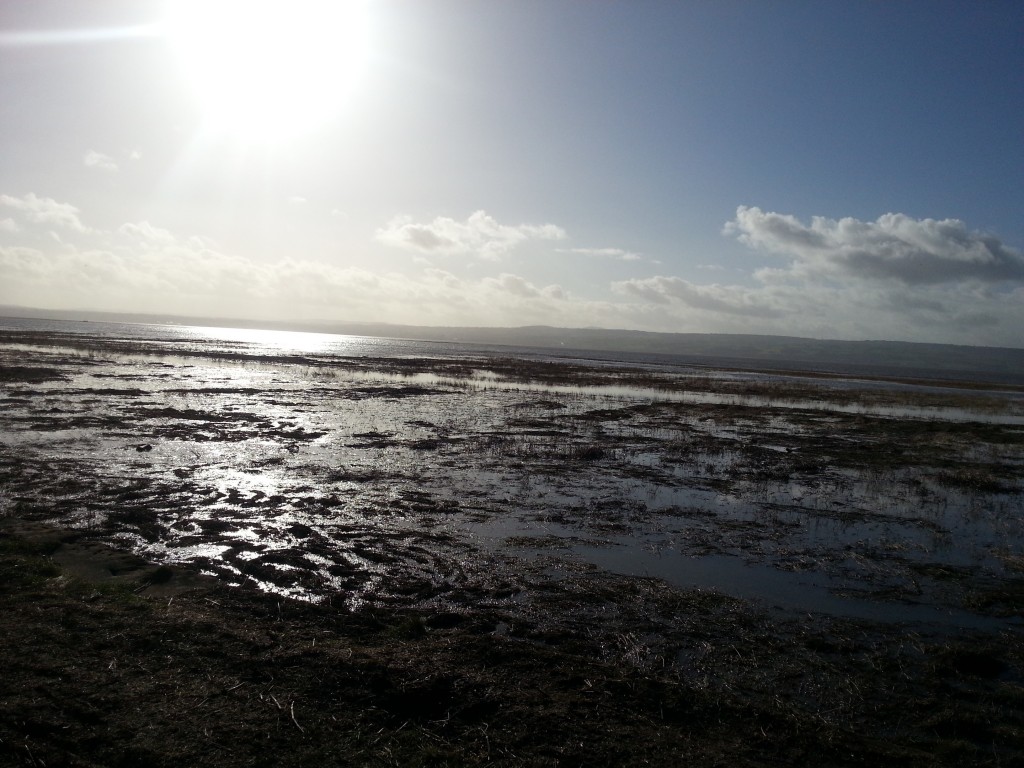 BACKWOOD HALL Holiday Lets Cheshire and Holiday Lets Wirral